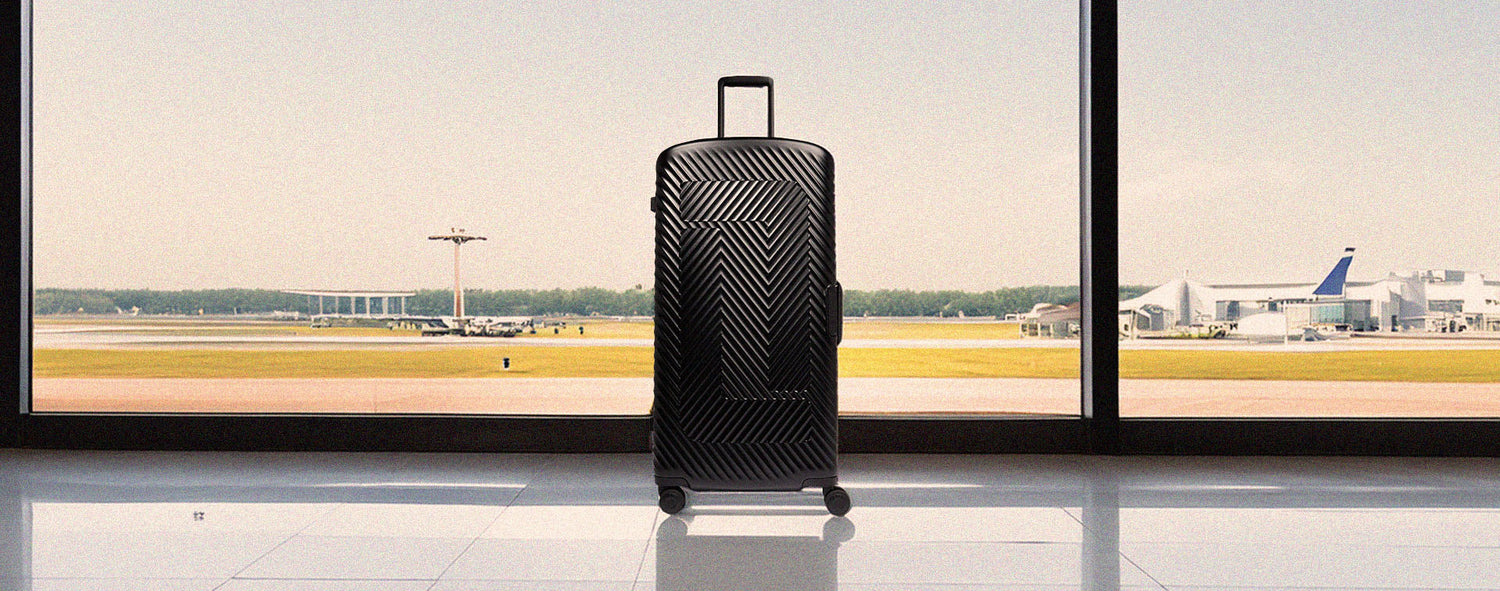 LARGE LUGGAGE