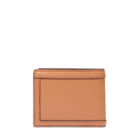 COIN WALLET WITH FLAP