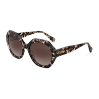 OCATVIE SUNGLASSES