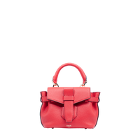 Mini handbag